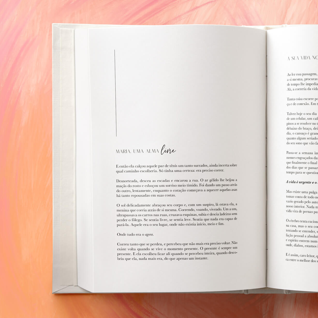 Livro do Seu Tempo | Studio Luze | Livro de Autoconhecimento | Roda da Vida